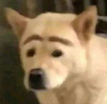 Wonwuacho