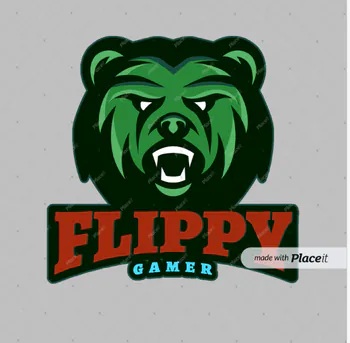 flippy_gamer2