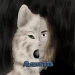 Ramus333