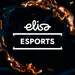 ElisaEsports - Kick Charts