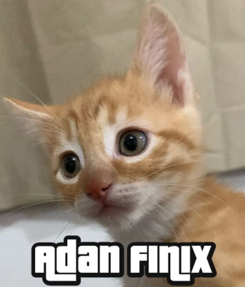 Adanfinix
