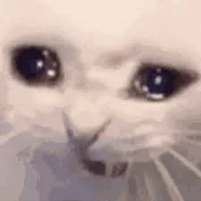 JUST_3SAM