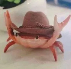 hoodncrab