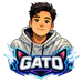 GatoFurios0