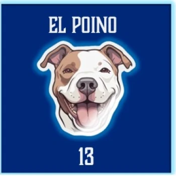 Elpoino13