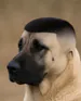 Permatier
