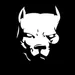 Randy_DC