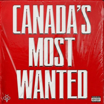 TorontoVVS