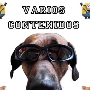 Varios_Contenidos