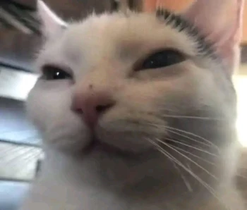 LikitoJordan