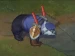 lucky8z