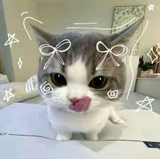 sadecekufte