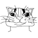 Shibo2