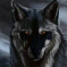 Redeyedwolf56
