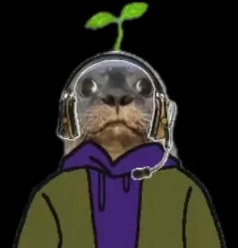QuintinTerraintino