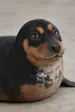RixxTii