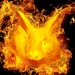 FireRabbit_SE