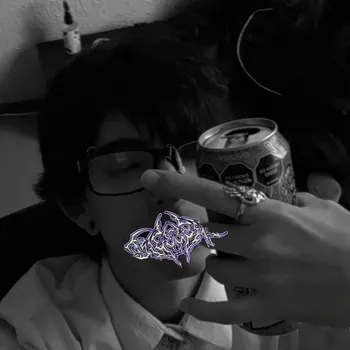DsSK666