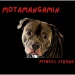Motamangamin Profile Picture
