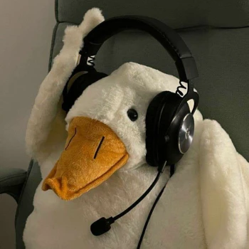 Duckpro06