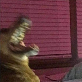 TURBO_PEPPA