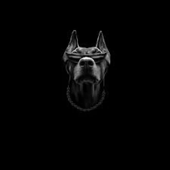 perronxgroo