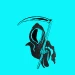 shvdowreaper avatar