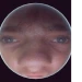 vidmiak