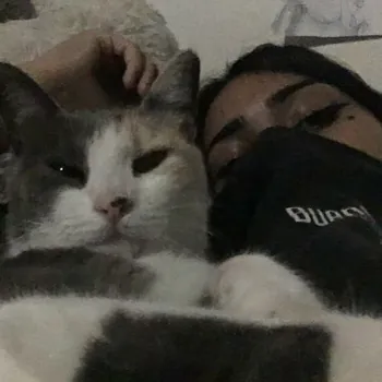 cannsada