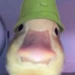 JarinXDDD