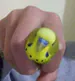 omega_peppa