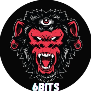 6bits