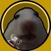 andrewtsmtxd