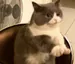 darianf22