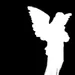 dxdo11