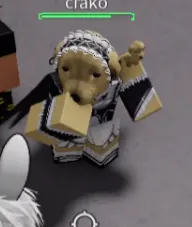Clonfaprogaymer