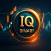 IQBinary