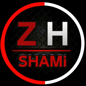 zh_shami5