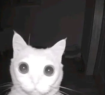 Caotiwc
