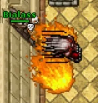 Bialass_Tibia