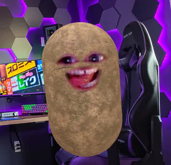BachaBrambora