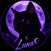 LunaClutch
