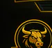 texanborn avatar