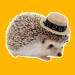 kayser_27