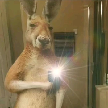 Cerrano_por_Exelencia