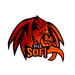 FLLSSOFI