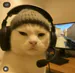 Gatinioxd456
