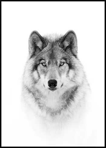 Kick profile picture for @lobo