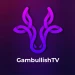 gambullishtv avatar
