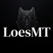 LoesMT